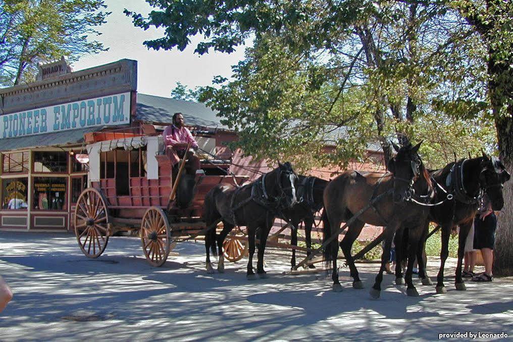 Best Western Cedar Inn & Suites Angels Camp Exterior photo